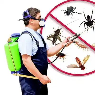 pest control Washingtonville